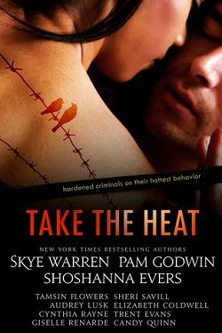 Take the Heat by Skye Warren