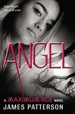 Angel (Maximum Ride 7) by James Patterson