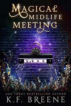 Magical Midlife Meeting (Leveling Up 5) by K.F. Breene