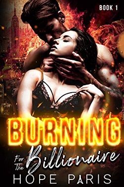 Burning For The Billionaire by Hope Paris