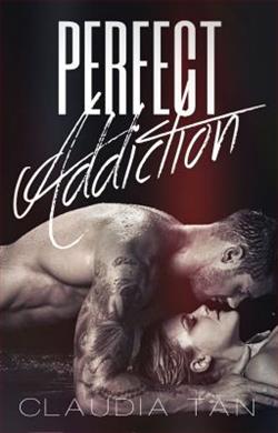 Perfect Addiction (Perfect 2) by Claudia Tan