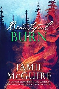 Beautiful Burn (The Maddox Brothers 4) by Jamie McGuire