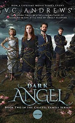 Dark Angel (Casteel 2) by V.C. Andrews