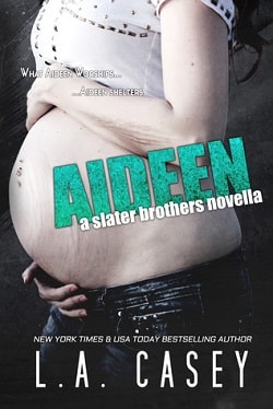 Aideen (Slater Brothers 3.5) by L.A. Casey