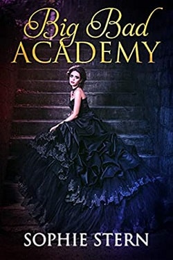 Big Bad Academy by Sophie Stern