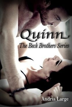 Quinn (The Beck Brothers 3) by Andria Large