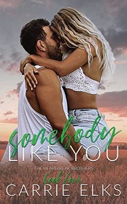 Somebody Like You (The Heartbreak Brothers 4) by Carrie Elks